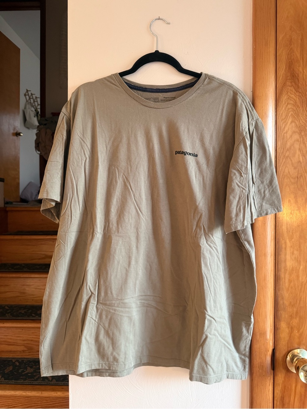 Patagonia Men's Short Sleeve Tee in Sage Green